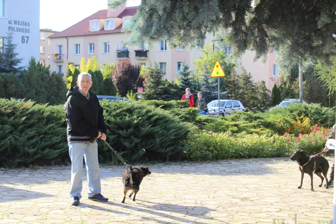 Franciszkanie w Jarocinie. Odpust św. Franciszka z Asyżu