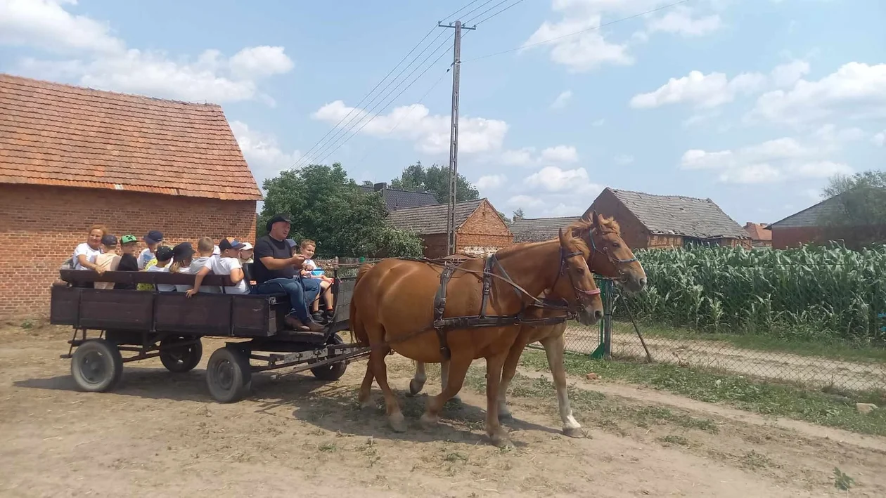 Krotoszyn. Letnie Półkolonie z Wodnikiem