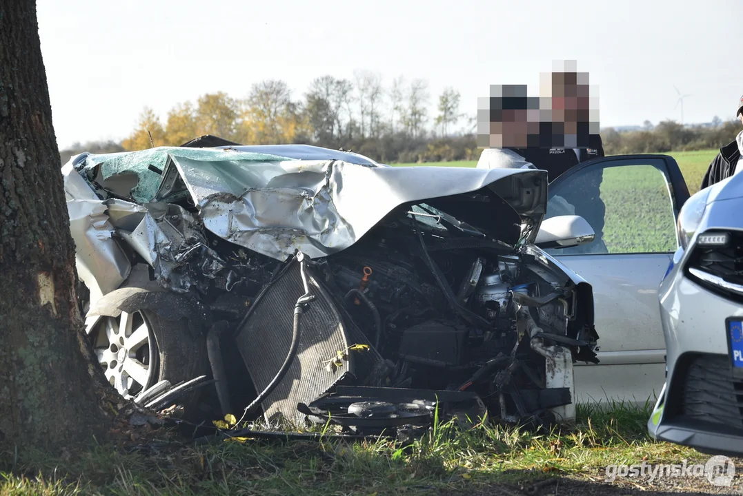 Zderzenie volkswagena z drzewem na trasie Głuchów - Wziąchów