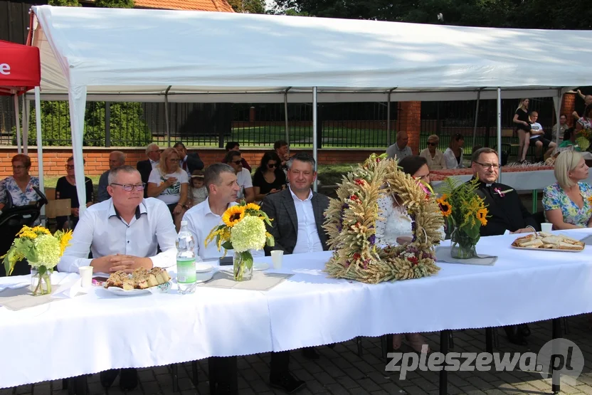 Kolorowe dożynki w Lenartowicach