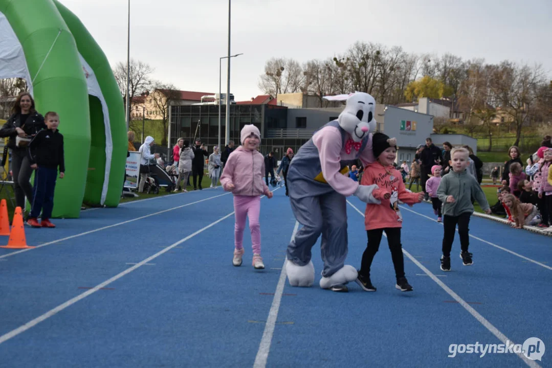 II Bieg Zająca w Gostyniu - Wielkanoc 2024