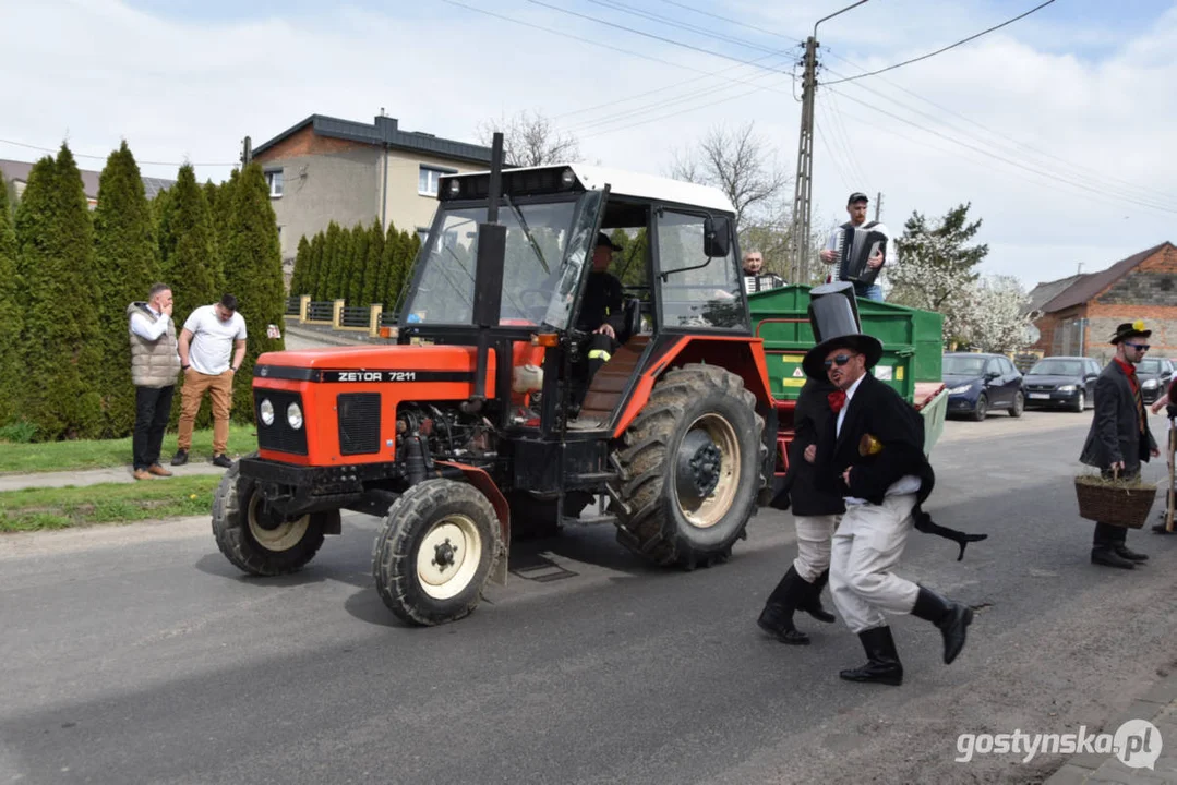 "Niedźwiedzie" wróciły do Zalesia - wesoły śmigus-dyngus