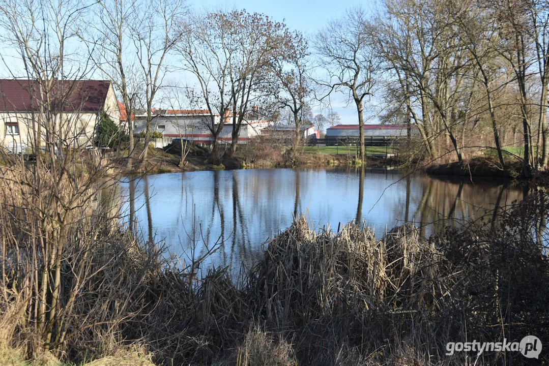 Gmina Gostyń planuje renowację stawów