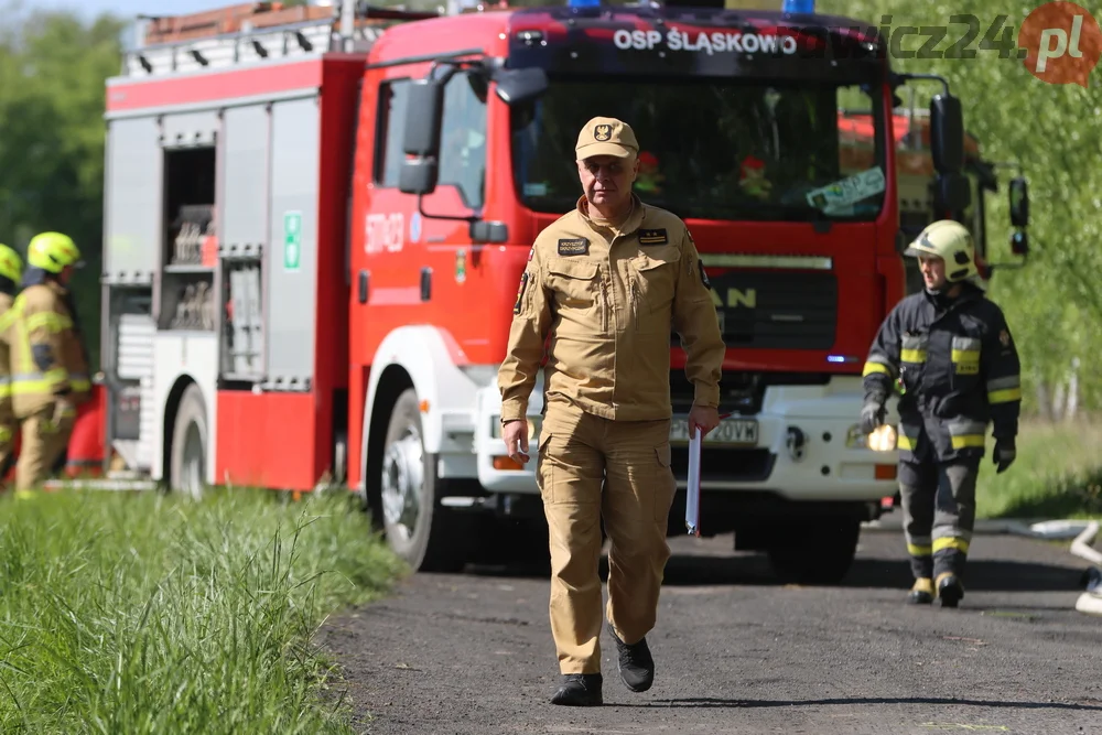 Pożar w lesie pomiędzy Zieloną Wsią a Dębnem Polskim