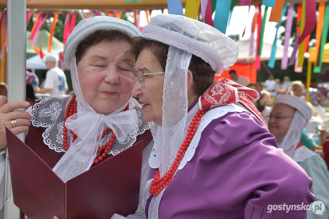 18. Prezentacje Zespołów Ludowych Wielkopolski w Borku Wlkp.