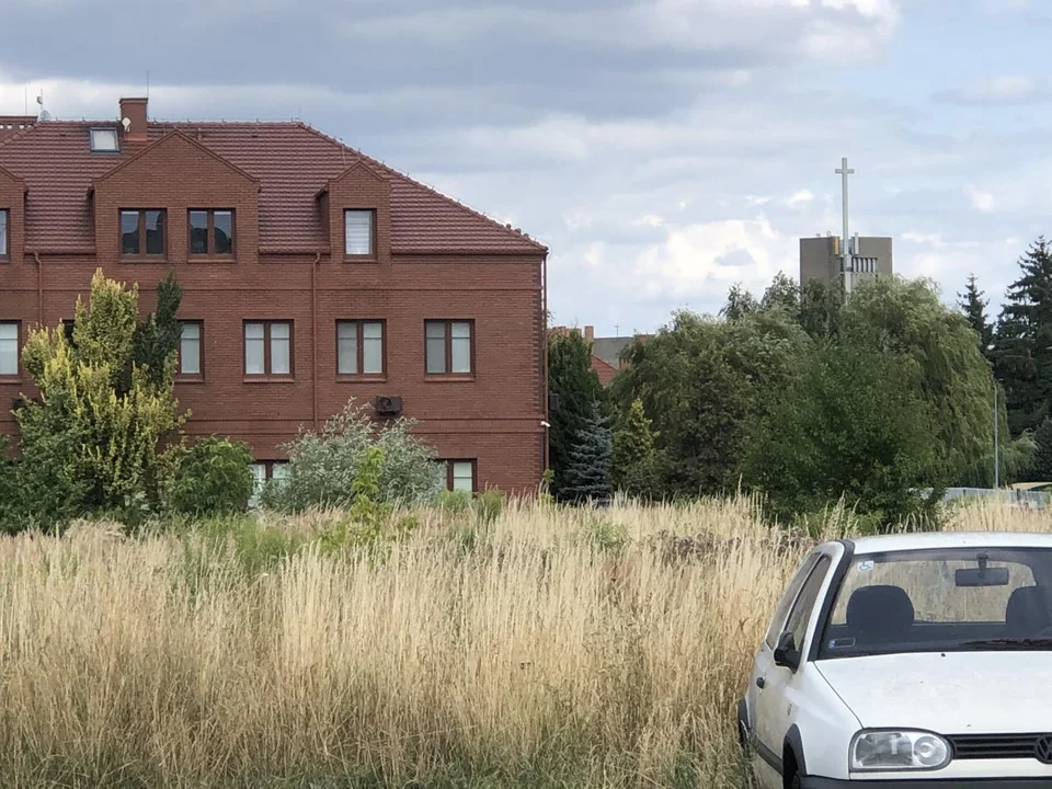 W Jarocinie powstanie wybieg dla psów. Nawet dwa na jednym osiedlu