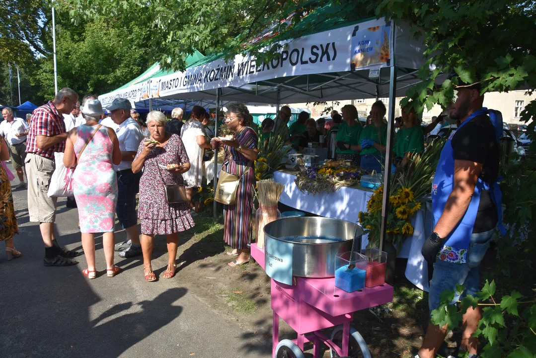 Dożynki powiatowe w Koźminie Wielkopolskim