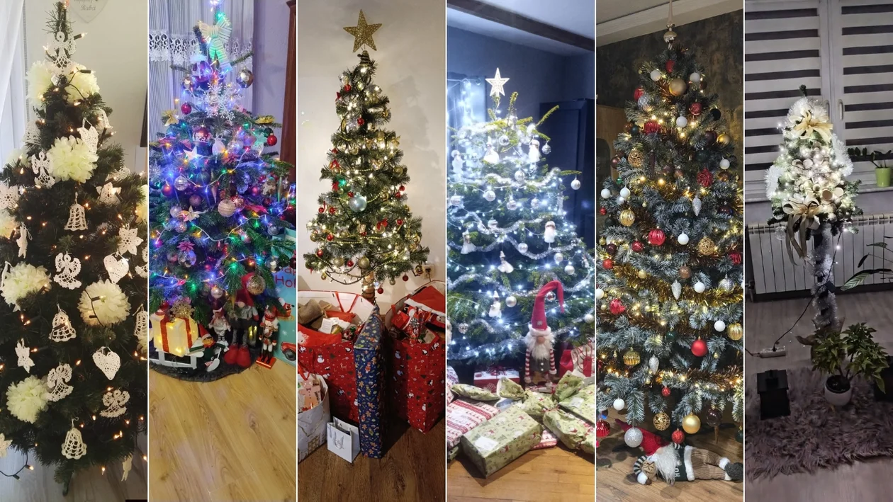 Choinki naszych czytelników. Tak wyglądały święta w powiecie krotoszyńskim [ZDJĘCIA] - Zdjęcie główne