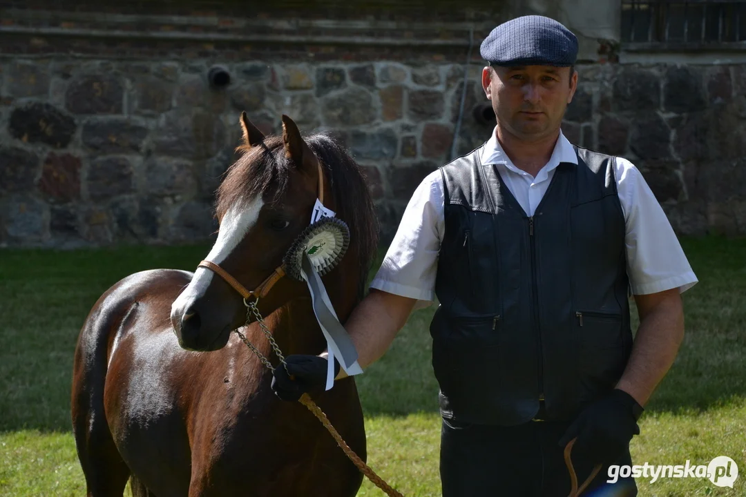 Rokosowo Horse Show 20224 - Konie i Powozy na Zamku Wielkopolskim w Rokosowie