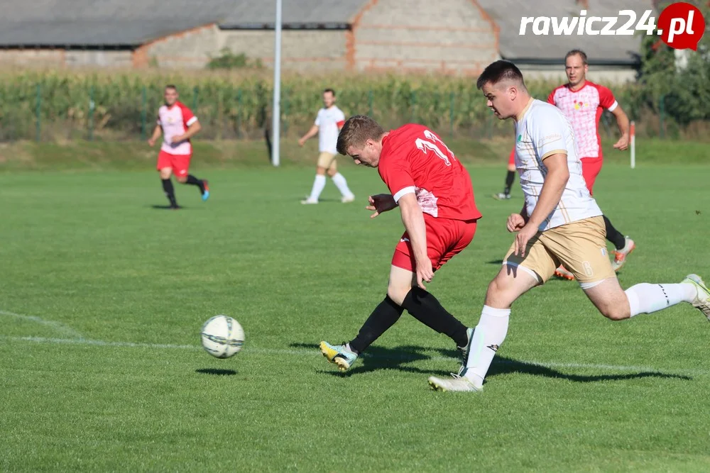 Awdaniec Pakosław - Wisła Borek Wielkopolski 2:5