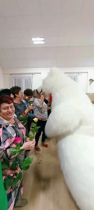 Dzień Kobiet Koła Gospodyń Wiejskich w Chwałkowie