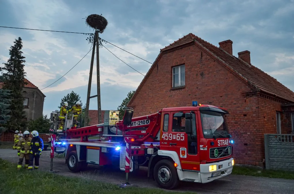 Strażacy wezwani na pomoc bocianowi