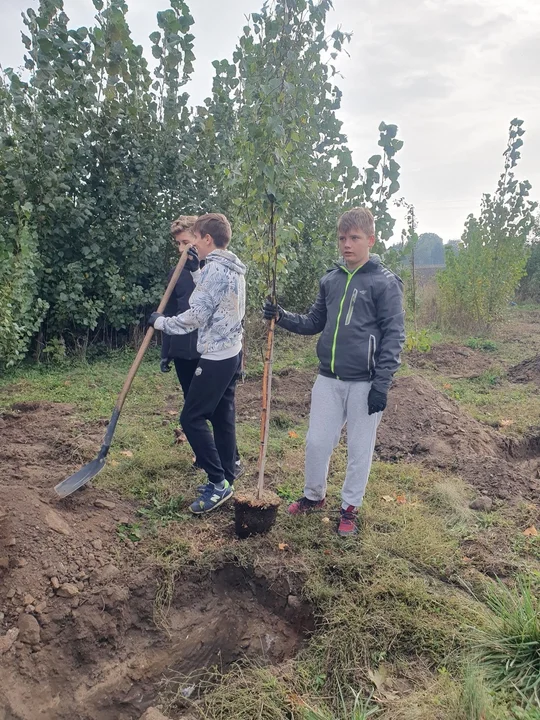 Światowy Dzień Drzewa w Krobi