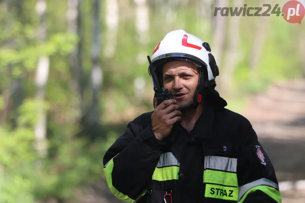 Pożar w lesie pomiędzy Zieloną Wsią a Dębnem Polskim