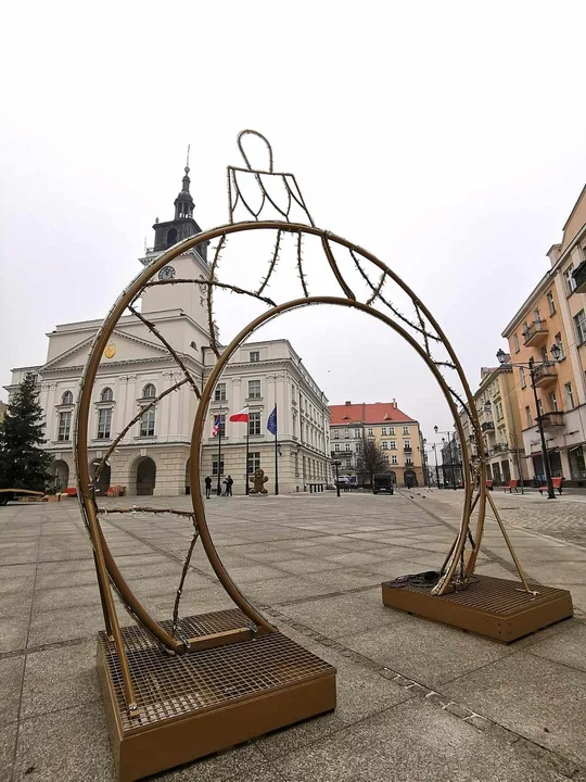 Miasto zapala iluminacje i wstawia żywą choinkę na rynek