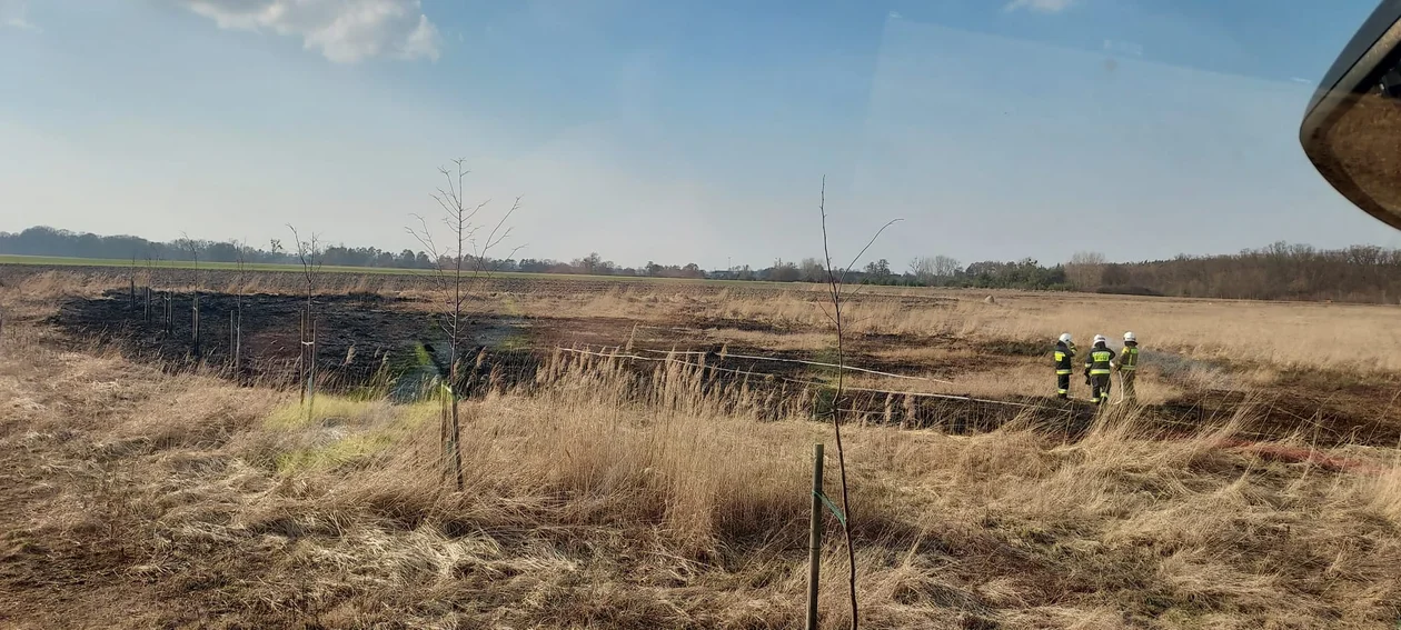 Kolejny pożar trawy w gminie Gołuchów