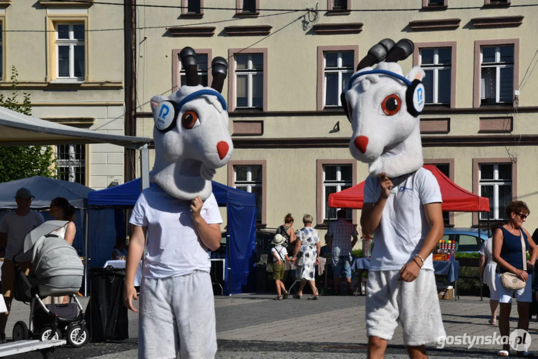 Święto Sera Smażonego w  w Pogorzeli - ustanowili rekord Polski  na największą porcję sera smażonego