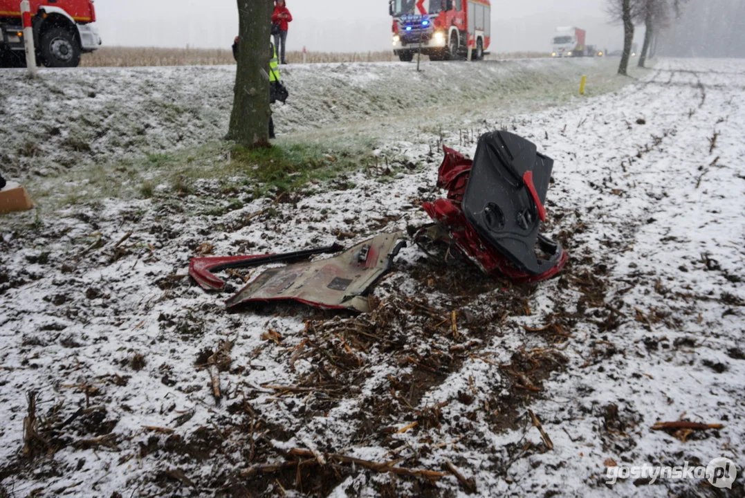 Śmiertelny wypadek na DK 12 w Dąbrówce