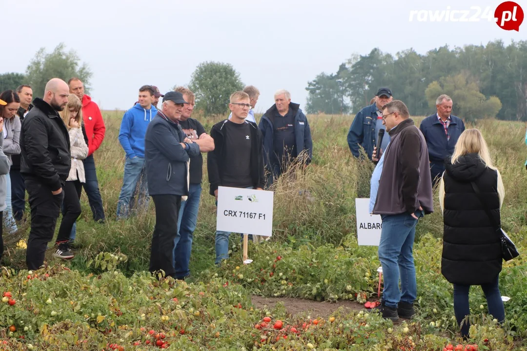 Święto Pomidora w Rogożewie (2022)