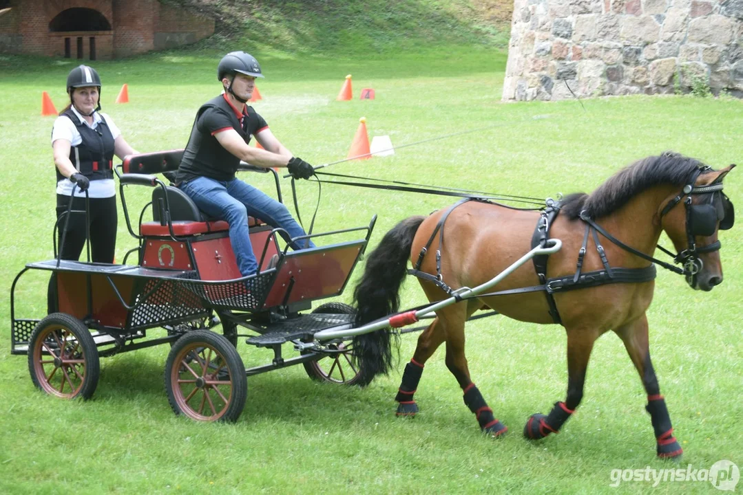 Rokosowo Horse Show 2024 - dzień pierwszy