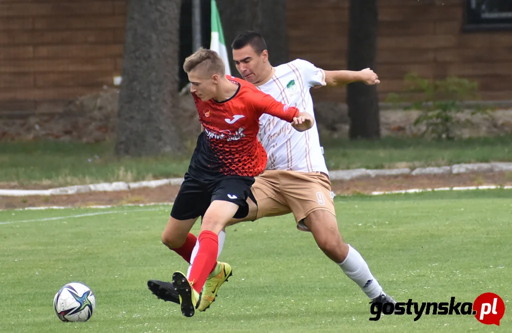 Wisła Borek Wielkopolski - Lider Swarzędz 2 : 0