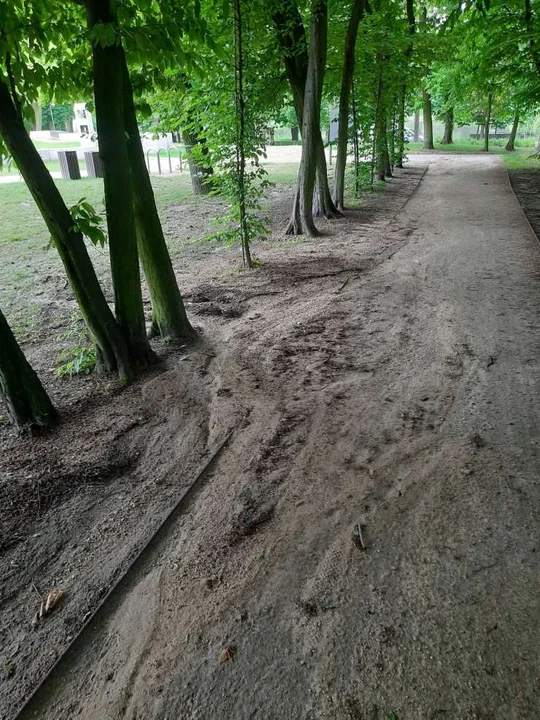 Zniszczone alejki w paku Radolińskich w Jarocinie