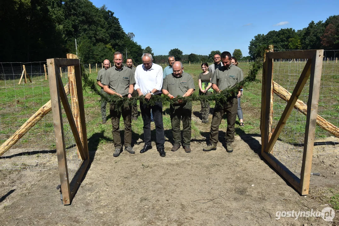 W Nadleśnictwie Piaski powstaje "Las dobry wspomnień"