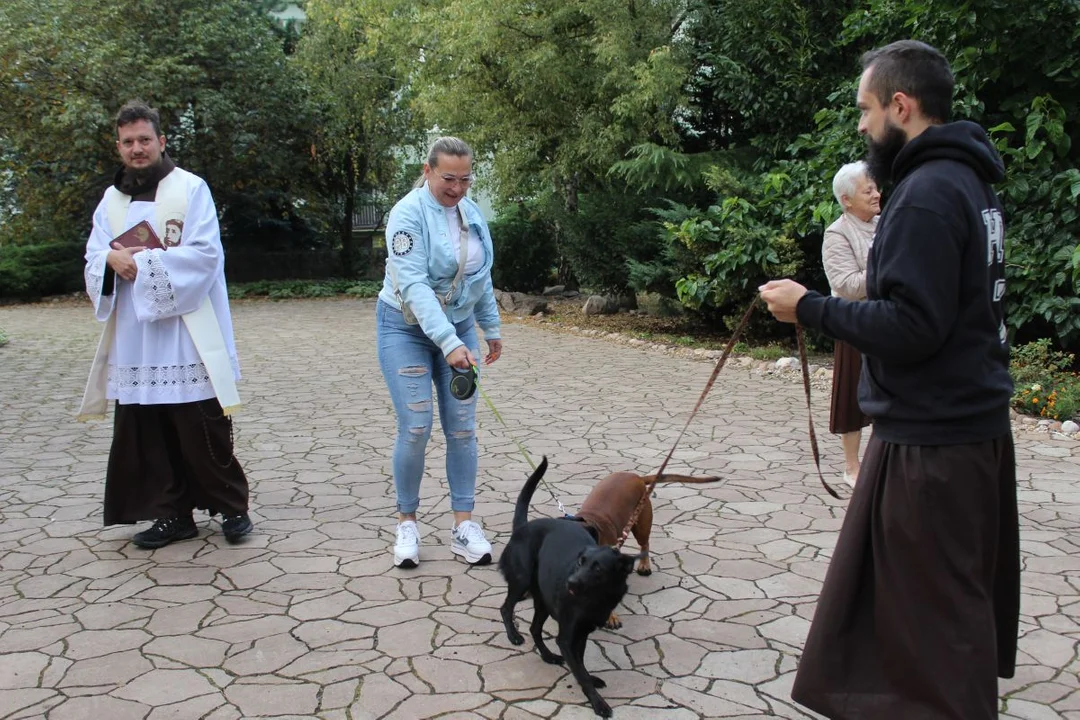 U franciszkanów w Jarocinie z okazji odpustu błogosławiono zwierzęta