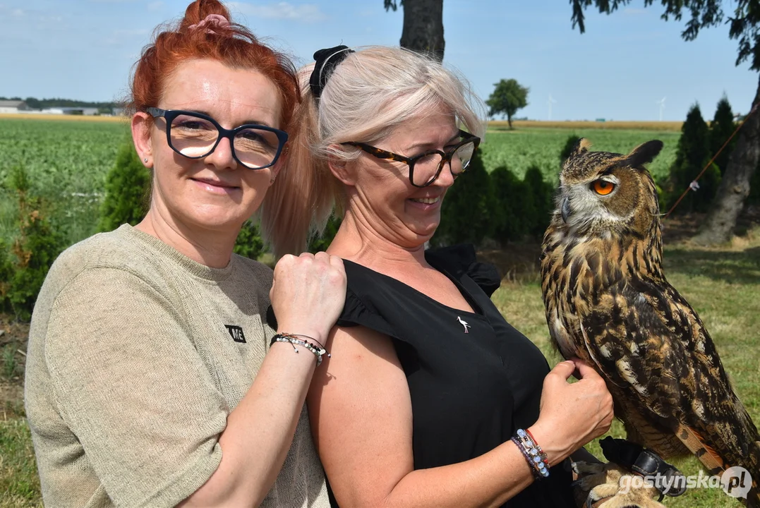 Festyn "Pod skrzydłami bociana" w Babkowicach