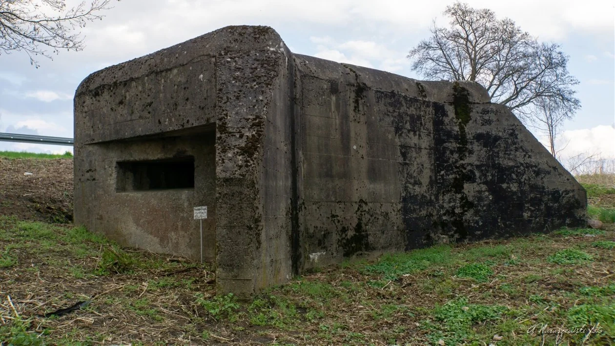 Ominęła je wojenna zawierucha, przetrwały do dziś. Tak wyglądają schrony bojowe w Brudzewku