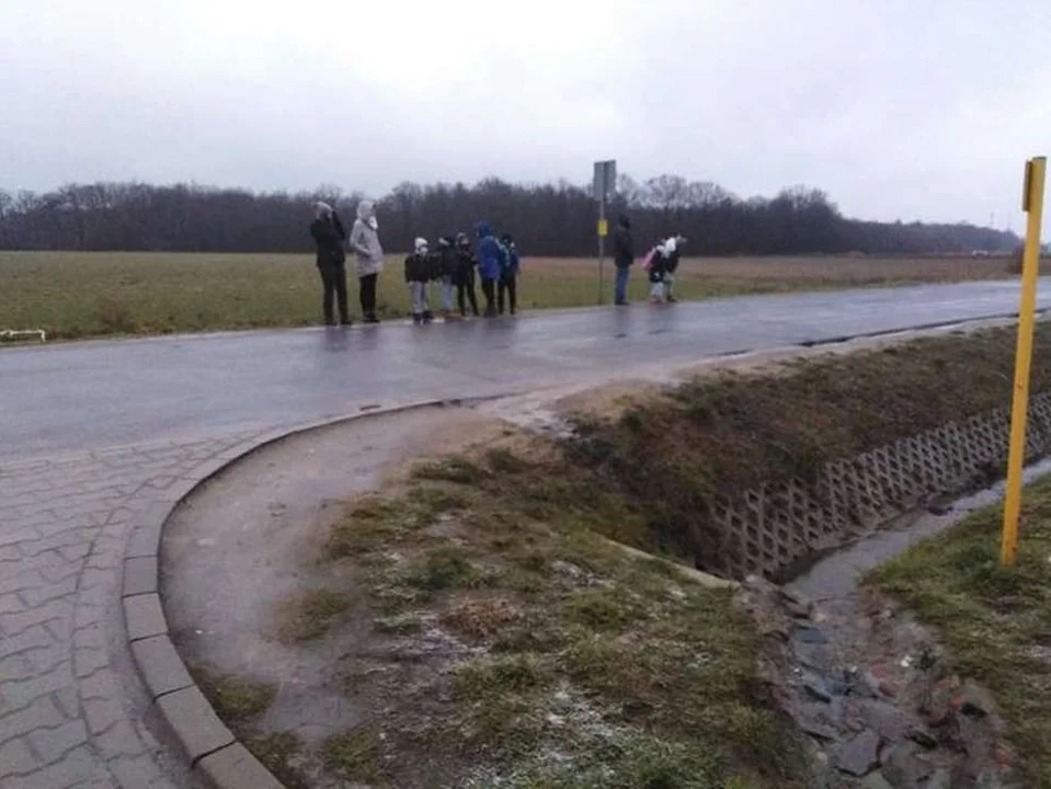 Mieszkańcy apelują o przystanek, bo ich dzieci mokną czekając na autobus do szkoły [ZDJĘCIA] - Zdjęcie główne