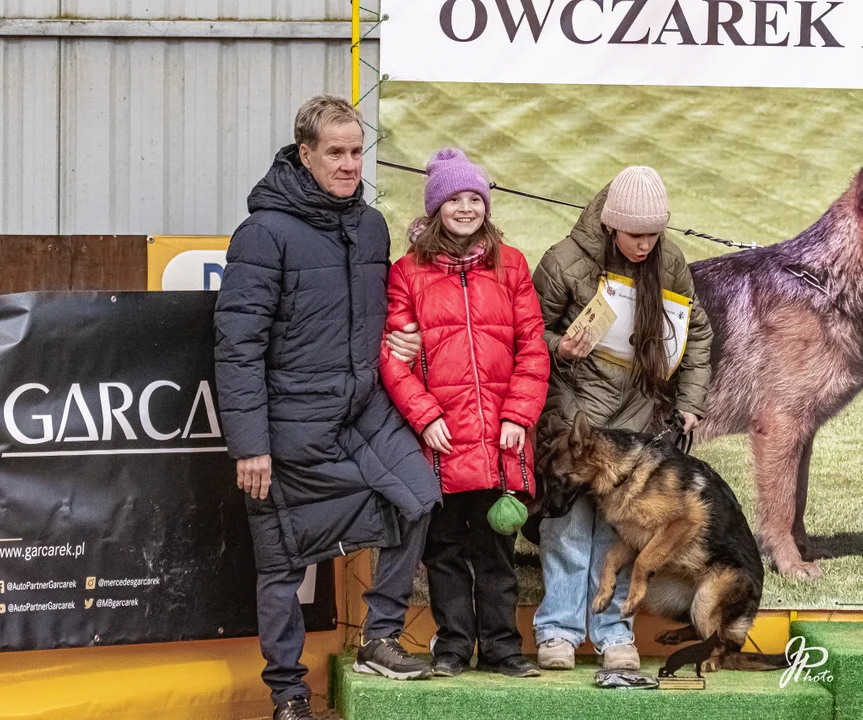 Wystawa owczarków niemieckich w Zawidowicach [ZDJĘCIA] - Zdjęcie główne