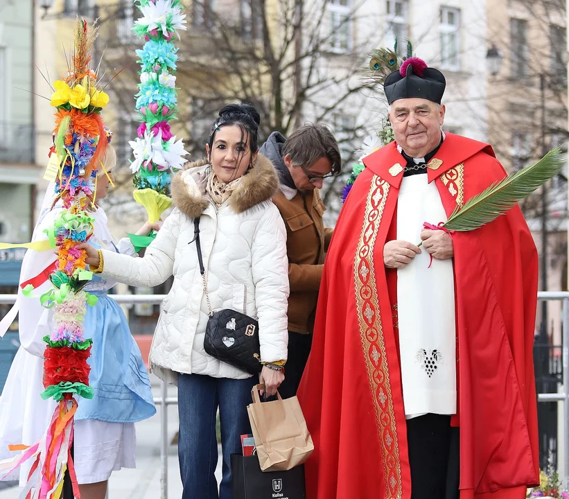 Najdłuższe palmy miały ponad 3 metry