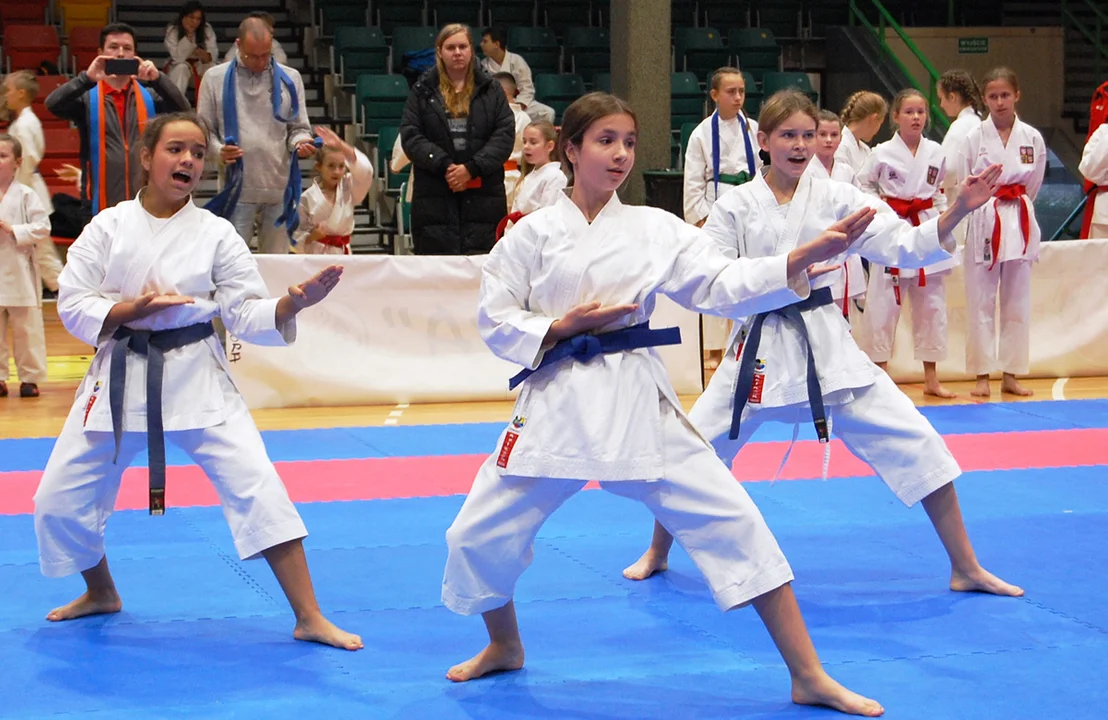 LION KARATE OPEN – XXXI Mistrzostwa Ziemi Legnickiej