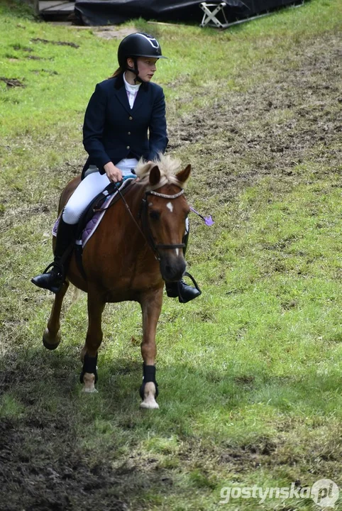 Rokosowo Horse Show - dzień drugi