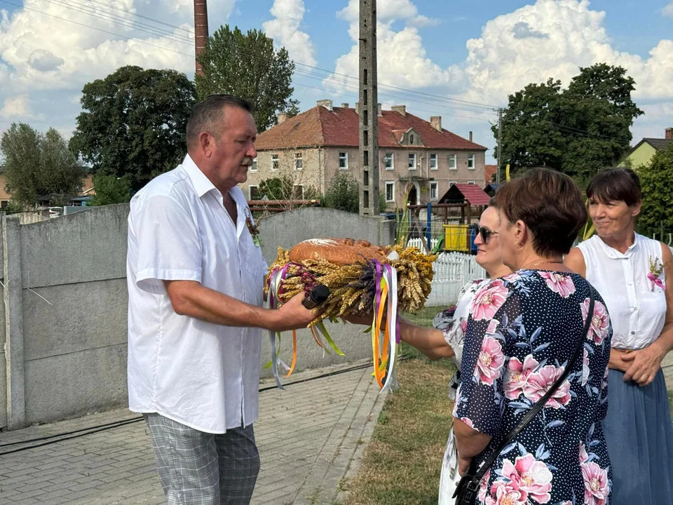 Bojanowo. Jak zakończenie żniw świętowano w Zaborowicach? - Zdjęcie główne