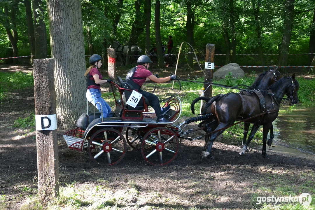 Rokosowo Horse Show 20224 - Konie i Powozy na Zamku Wielkopolskim w Rokosowie