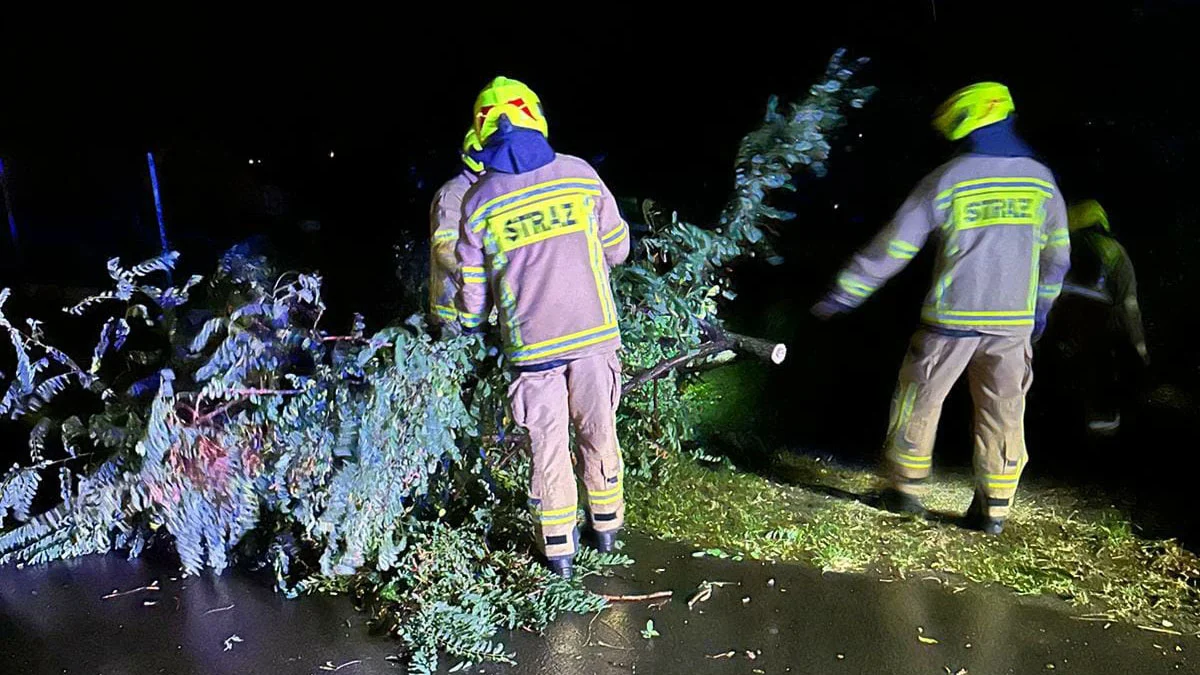 Porywisty wiatr narobił szkód w powiecie gostyńskim. Pracowita noc strażaków