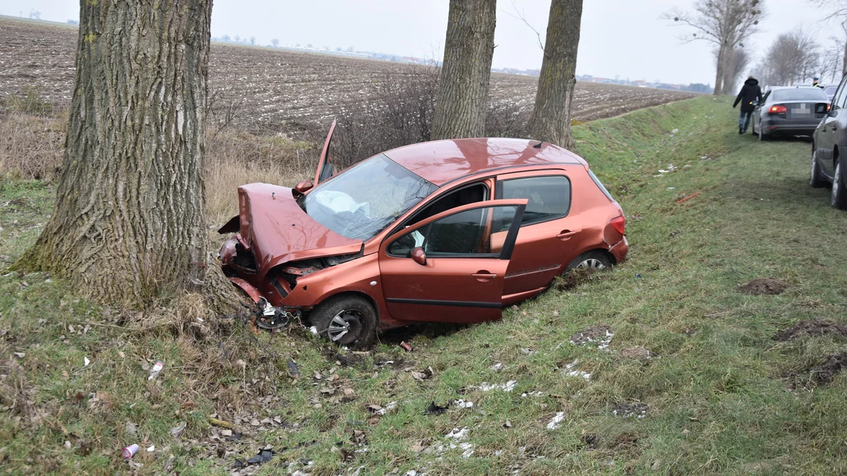 Wypadek samochodowy na drodze Strzelce Wielkie - Lipia (droga Piaski - Pogorzela)