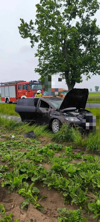 Auto wypadło z drogi Żerków - Chrzan