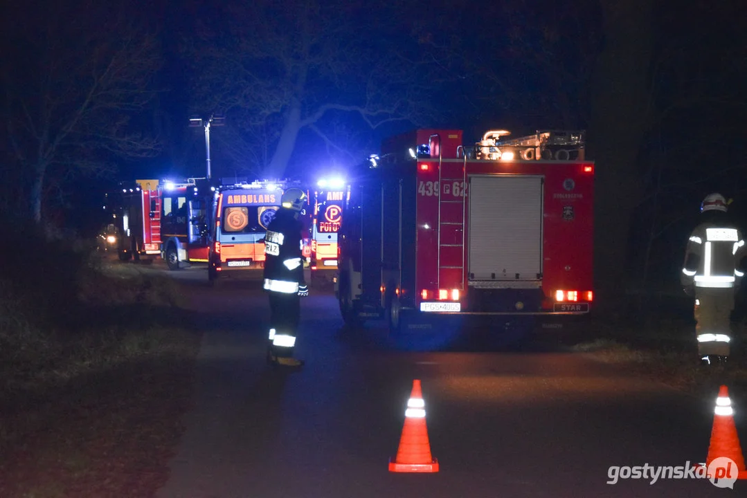 Czołówka z drzewem. Wypadek w Grodzisku (gm. Poniec)