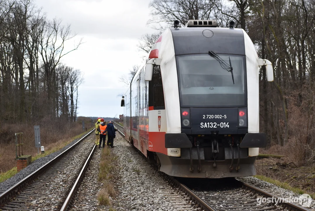 Zderzenie szynobusu relacji Ostrów Wlkp. - Leszno z drzewem