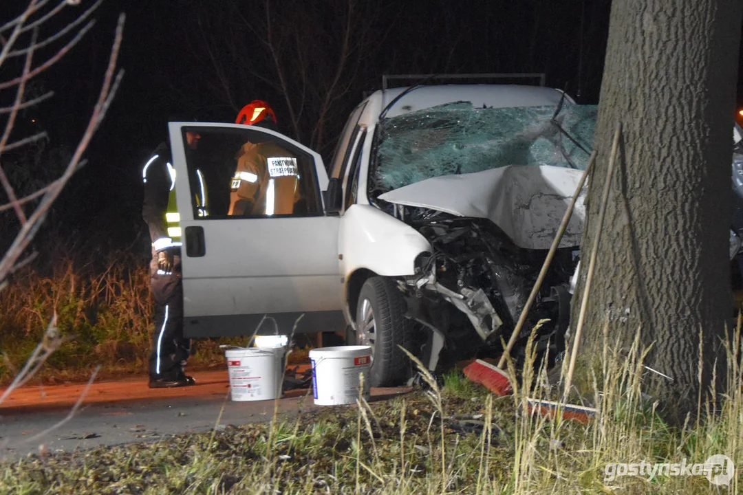 Czołówka z drzewem. Wypadek w Grodzisku (gm. Poniec)