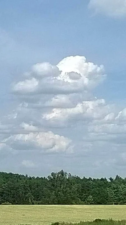 Krotoszyn. Pasje Jadwigi Maciejewskiej