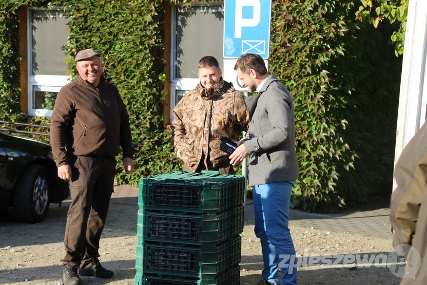 Wypuścili kuropatwy na terenie powiatu pleszewskiego