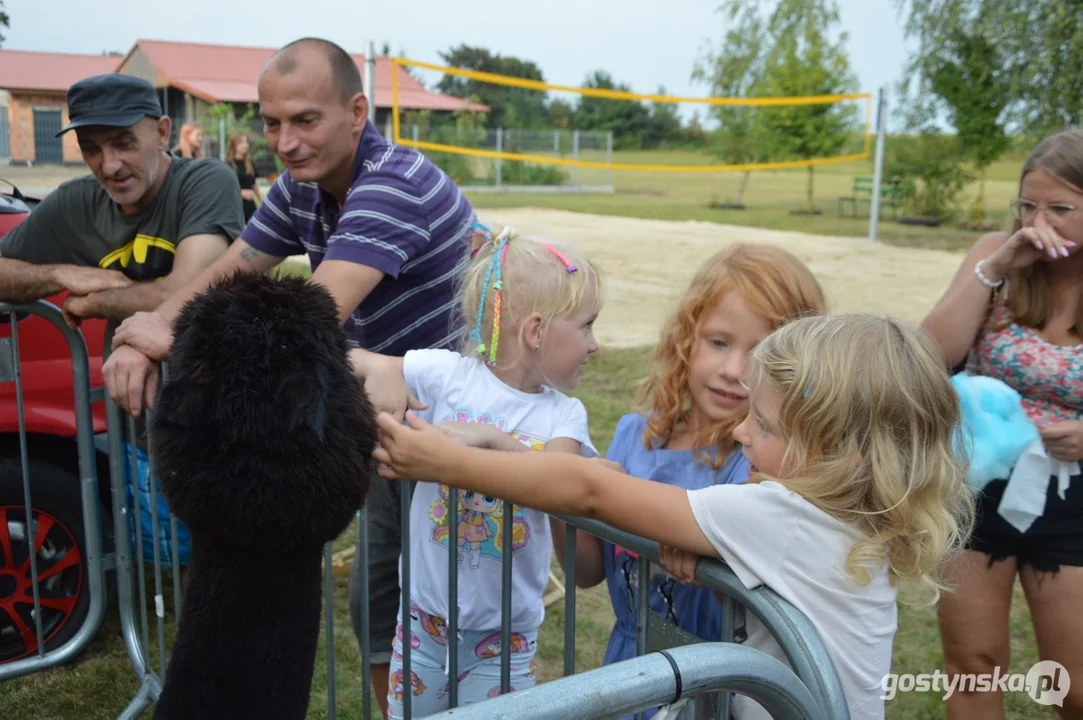 Prawdziwym hitem tegorocznych dożynek i festynu w Wycisłowie były alpaki