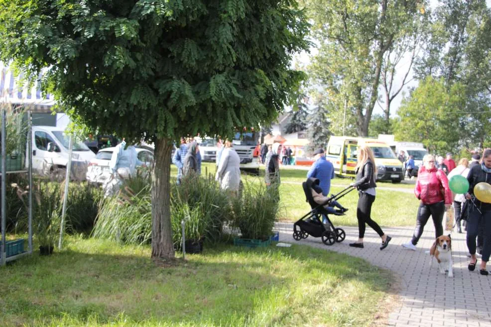 Wyróżnienie dla KGW w Witaszyczkach na targach w Marszewie