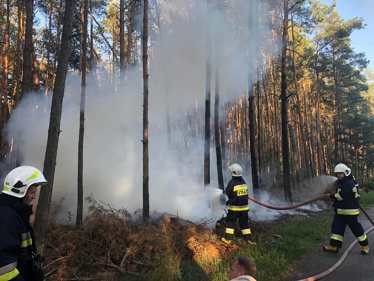 Pożar w miejscowości Kolonia Obory