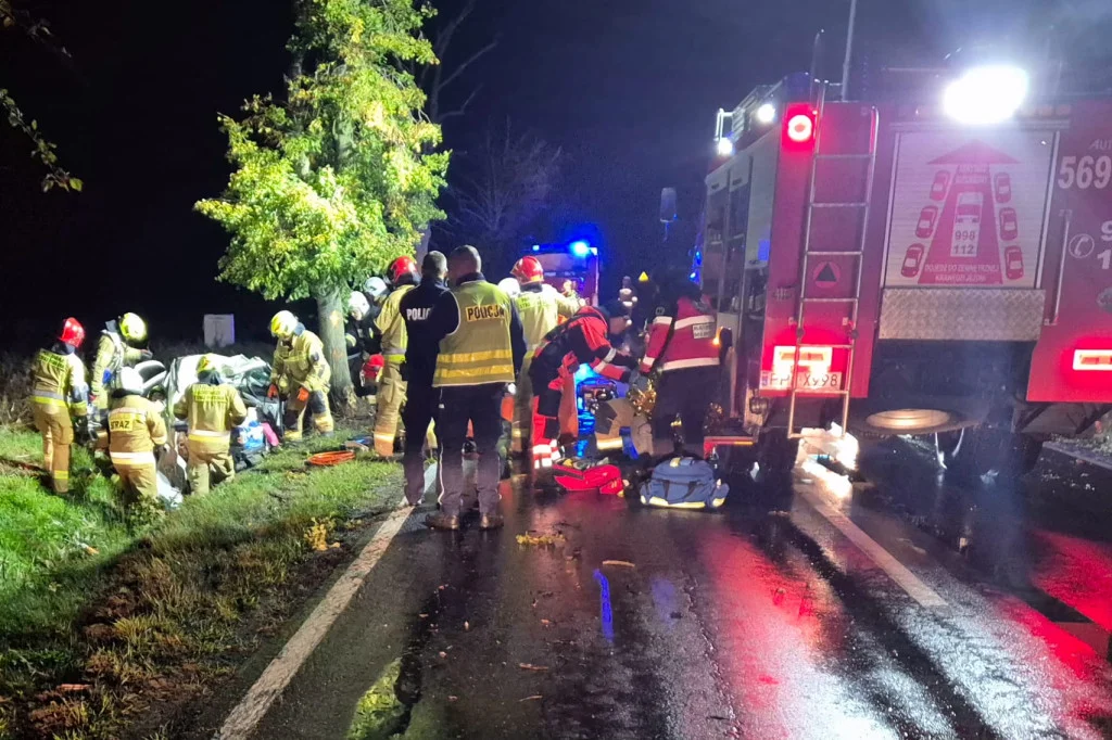 Wypadek śmiertelny na drodze wojewódzkiej nr 442 w gminie Chocz