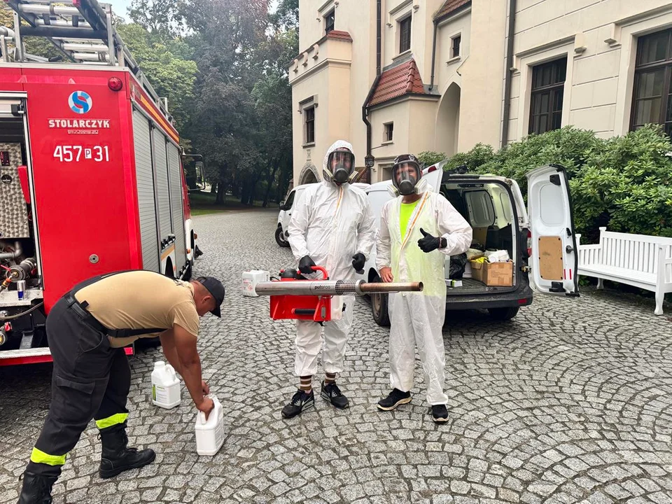 Odkomarzanie przed festiwalem